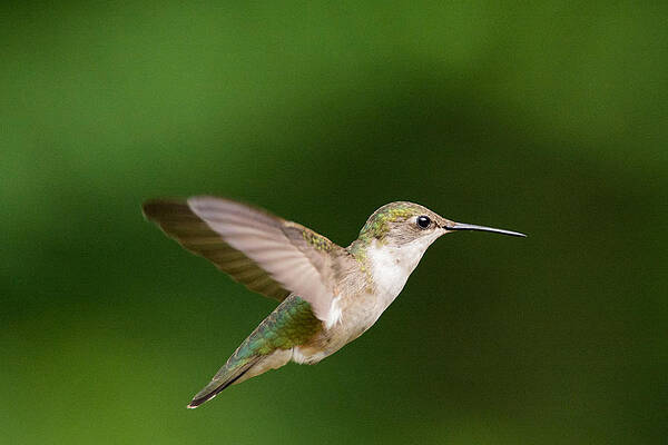 On approach by David Wornham