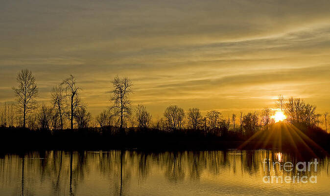 On Golden Pond by Nick Boren On Golden Pond by Nick Boren