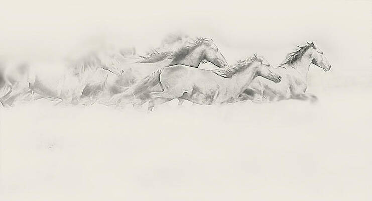 On the Move by David Ediger