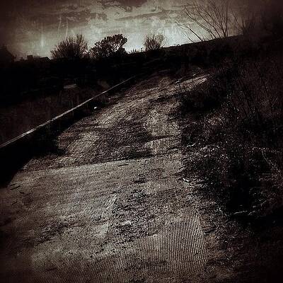 Wall Art - Photograph - On The Path --- Check Out More Of My by Mark David Gerson