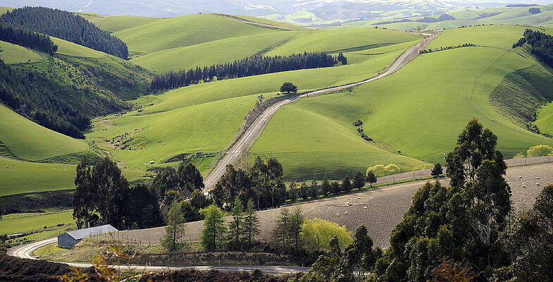 On the road in New Zealand by Ng Hock How On the road in New Zealand by Ng Hock How