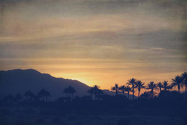 Wall Art - Photograph - Once Again by Laurie Search