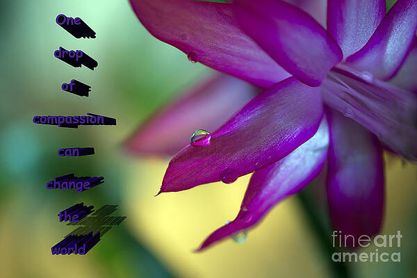 One Drop by Crystal Harman One Drop by Crystal Harman