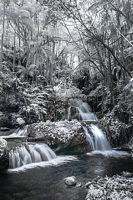 Onomea Falls in Infrared 2 by Jason Chu Onomea Falls in Infrared 2 by Jason Chu