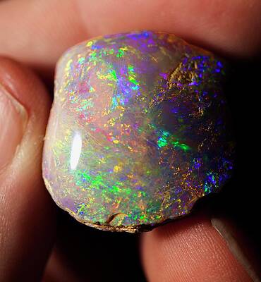 Wall Art - Photograph - Opal Bivalve Fossil Coober Pedy Australia by Science Photo Library