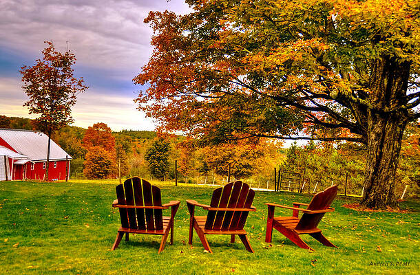 Open Seating by Andrea Platt Open Seating by Andrea Platt