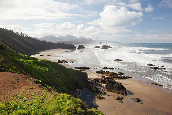 Wall Art - Photograph - Or, Oregon Coast, Ecola State Park by Jamie and Judy Wild