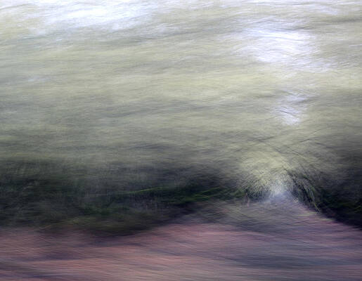 Wall Art - Photograph - Orchard in Springtime 2 by Carol Leigh