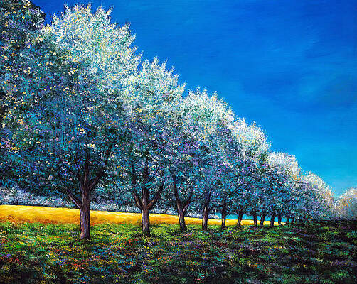 Wall Art - Painting - Orchard Row by Johnathan Harris