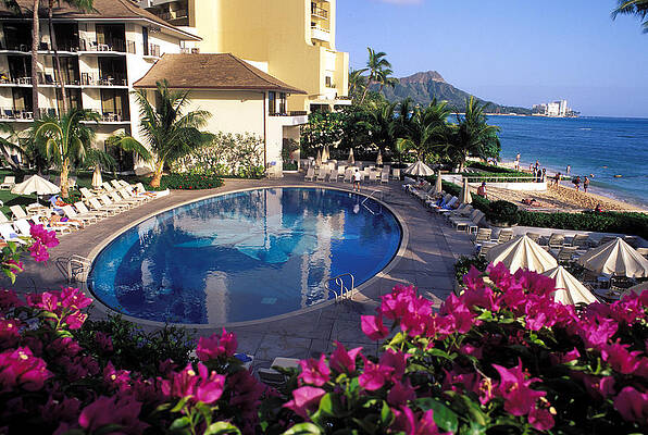 Halekulani Hotel Art Fine Art America