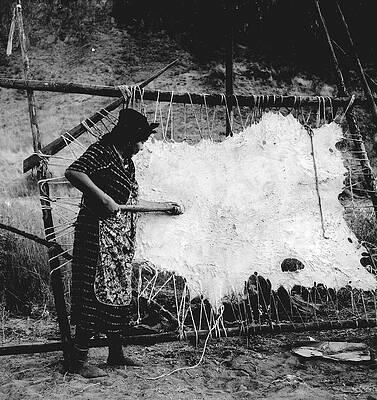 Wall Art - Photograph - Oregon Hide Scraping, 1939 by Granger