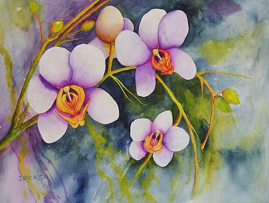 Orchids in my Garden by Jane Ricker Orchids in my Garden by Jane Ricker