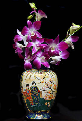 Oriental Orchids. by Terence Davis Oriental Orchids. by Terence Davis
