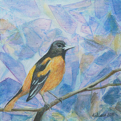 Oriole - Birds in the Wild by Arlissa Vaughn Oriole - Birds in the Wild by Arlissa Vaughn