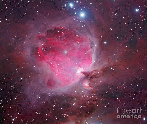 Wall Art - Photograph - Orion Nebula M42 by Chris Cook