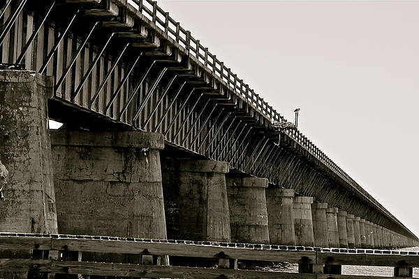 Osprey Bridge by Kim Pippinger Osprey Bridge by Kim Pippinger