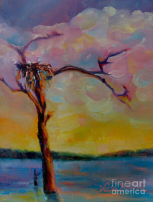 Osprey Nest - Lake Sam Rayburn by Vicki Brevell Osprey Nest - Lake Sam Rayburn by Vicki Brevell