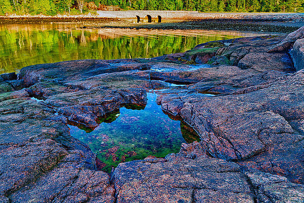 Wall Art - Photograph - Otter Cove Bridge And Tide Pool by Jeff Sinon