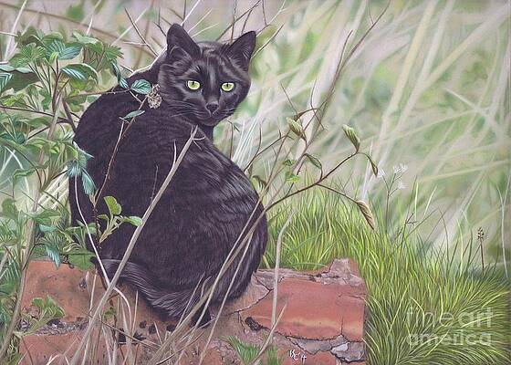 Out Hunting by Karie-Ann Cooper Out Hunting by Karie-Ann Cooper
