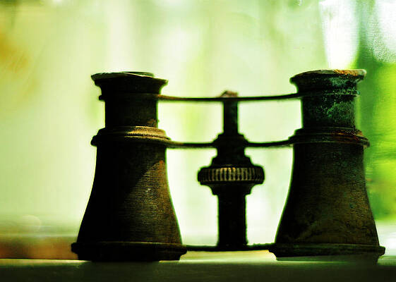 Wall Art - Photograph - Out of Sight by Rebecca Sherman