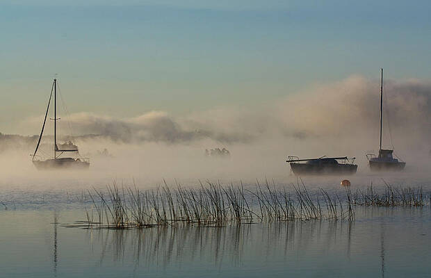 Out of the fog by Diana Nault