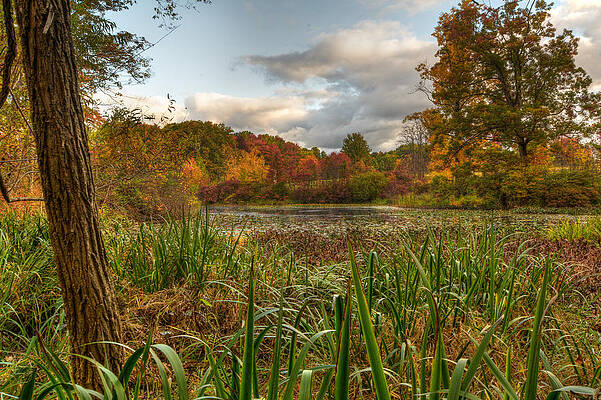 Out of the Marsh by At Lands End Photography Out of the Marsh by At Lands End Photography