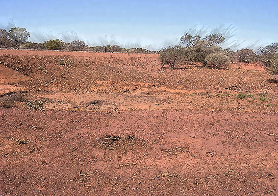 Outback by  dbug  dddbug