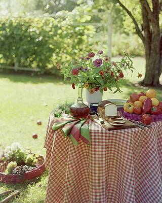 Wall Art - Photograph - Outdoor Lunch In The Shade Of A Tree by Wiliam Grigsby