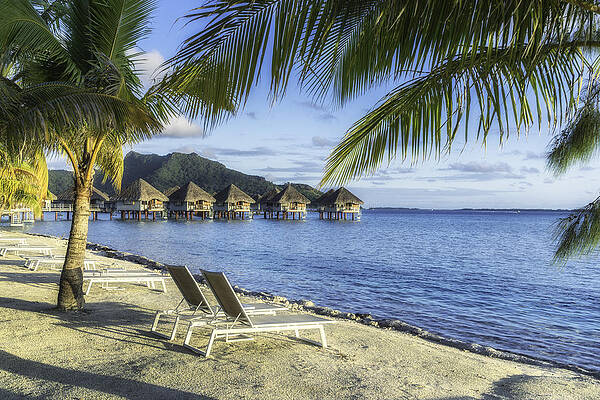 Wall Art - Photograph - Overwater Bungalows and Palm Trees in Bora Bora by Mel Ashar