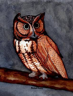 Eastern Screech Owl by Michael Panno Eastern Screech Owl by Michael Panno