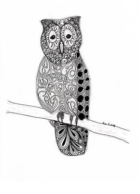 Wall Art - Drawing - Owl on a Branch by Paula Dickerhoff