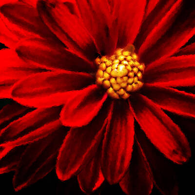 painterly dahlia flower by Meirion Matthias painterly dahlia flower by Meirion Matthias