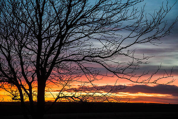 painting in the sky by Shirley Heier painting in the sky by Shirley Heier