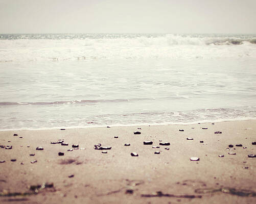 Pale Shore by Lupen Grainne Pale Shore by Lupen Grainne