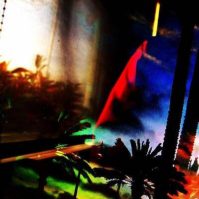 Wall Art - Photograph - Palm Tree Dreams --- Check Out More Of by Mark David Gerson
