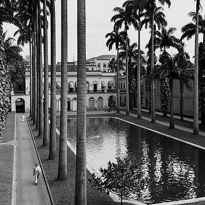 Wall Art - Photograph - Palm Trees Bordering A Pool by Luis Lemus