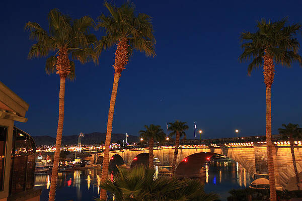 Palms At London Bridge by James Eddy Palms At London Bridge by James Eddy