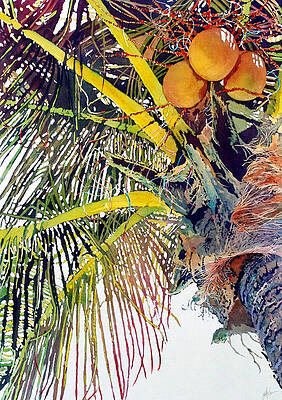 Palms by Greg and Linda Halom Palms by Greg and Linda Halom