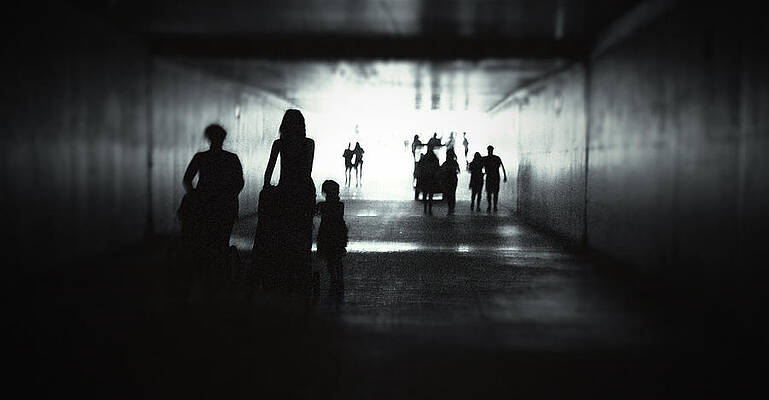 Passing Shadows by Stephanie Sherman