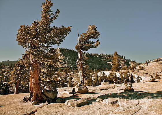 Passing through Olmsted Pass by Lisa Billingsley Passing through Olmsted Pass by Lisa Billingsley