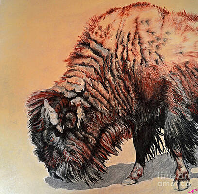 Pastel Buffalo by Ann Marie Chaffin Pastel Buffalo by Ann Marie Chaffin