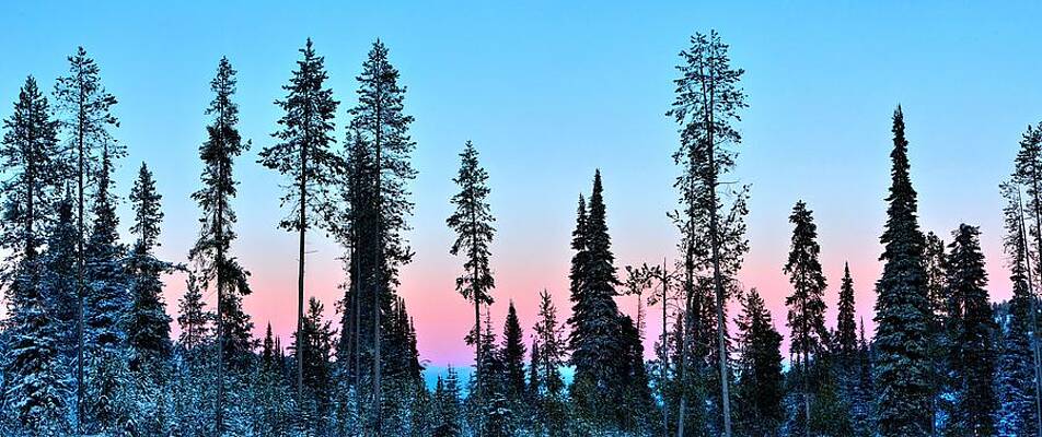 Wall Art - Photograph - Pastels of a Parting Day by David Andersen