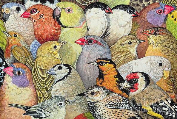 Wall Art - Painting - Patchwork Birds by Ditz