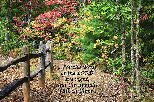 Wall Art - Photograph - Path in Autumn Scripture by Jill Lang