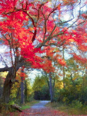 Wall Art - Photograph - Path in fall by Stacy Abbott