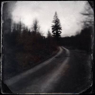 Wall Art - Photograph - Path in the dark forest and conifer tree by Matthias Hauser