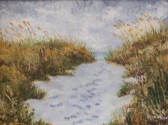 Path to Follyfield Beach by Dave  Mackin