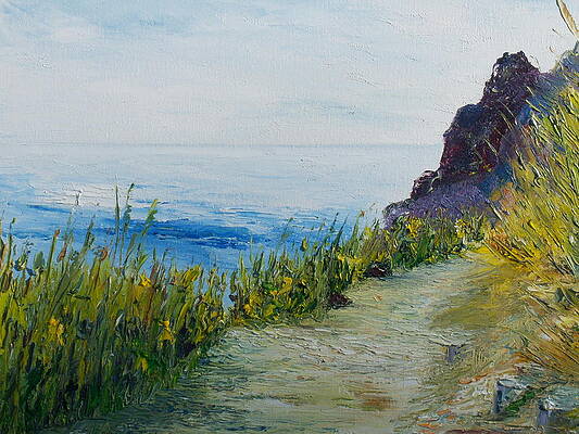 Path to lovers cove by Conor Murphy Path to lovers cove by Conor Murphy