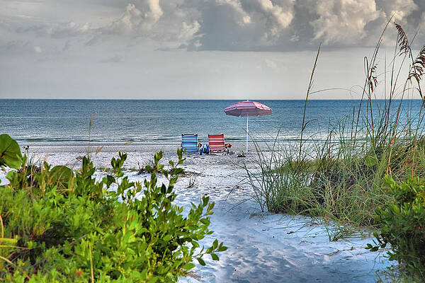 Path To The Beach II by Steven Ainsworth Path To The Beach II by Steven Ainsworth