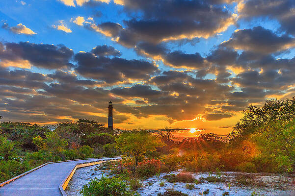 Path to the Sun by Sean Mills Path to the Sun by Sean Mills